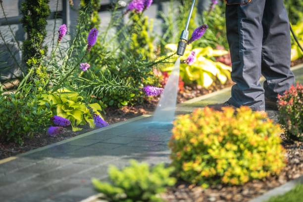 Reliable Los Lunas, NM Pressure Washing Services Solutions